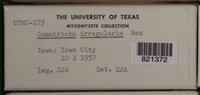 Image Associated With the Occurence